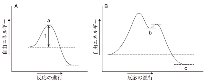 SN1・SN2　エネルギー図，律速段階，遷移状態，立体　105回問103